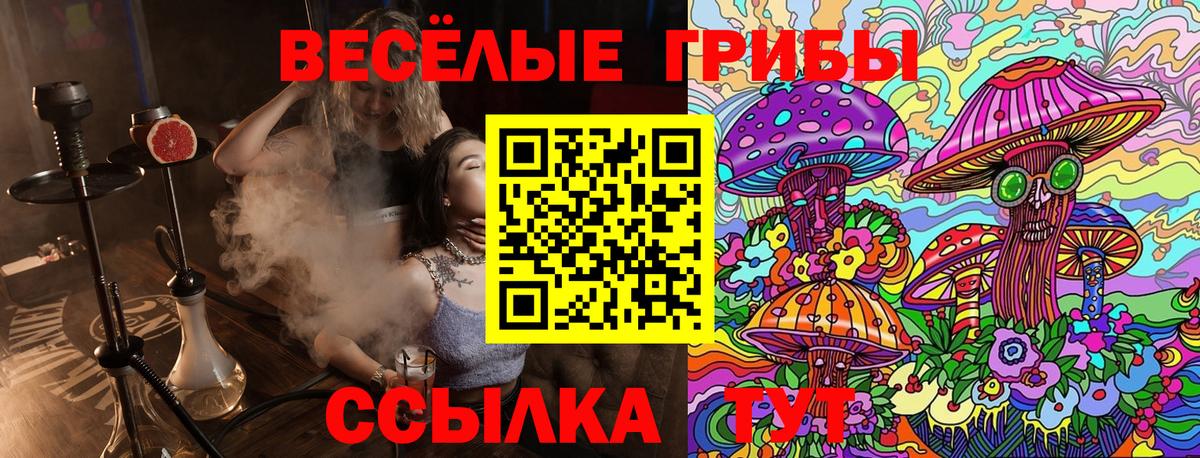 Галлюциногенные грибы Magic Shrooms  купить наркоту  Карталы  Вход с VPN  Псилоцибиновые грибы MAGIC MUSHROOMS 