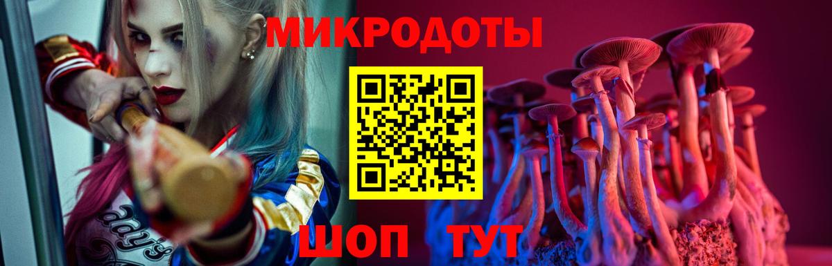 Галлюциногенные грибы Psilocybine cubensis Карталы